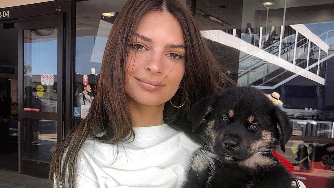 Emily Ratajkowski è nuda dietro un séparé di plexiglas rosa