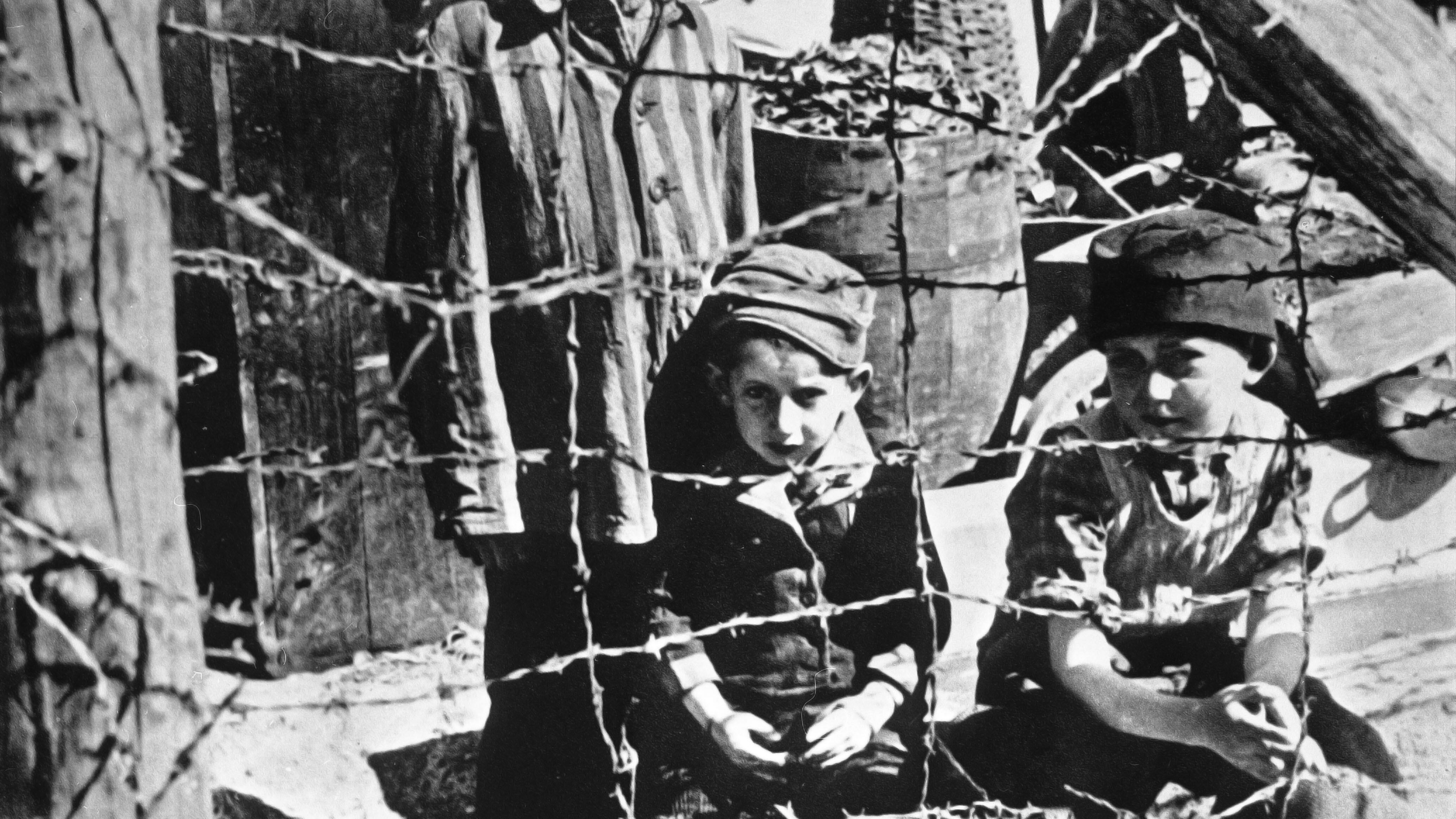 L'ultimo crimine del nazista: "L'Olocausto è un'invenzione"