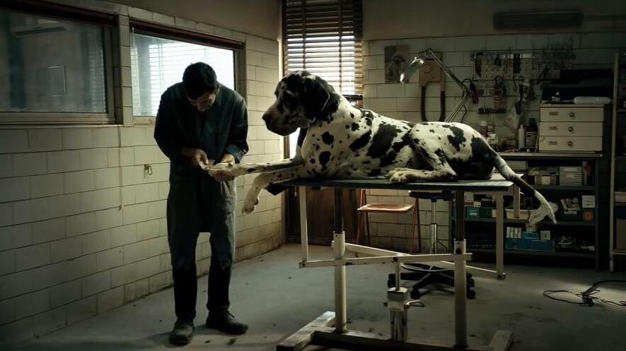 "Dogman", umanità e violenza nel miglior film di Matteo Garrone