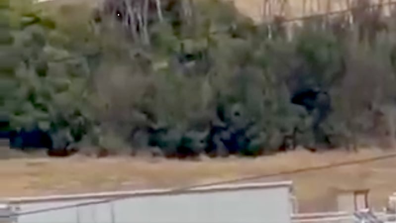 Esplosione in una fabbrica di munizioni a Colleferro (Roma)