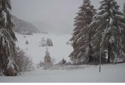 È  arrivata la prima neve al Nord 8