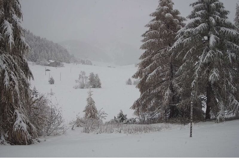 È arrivata la prima neve al Nord 8