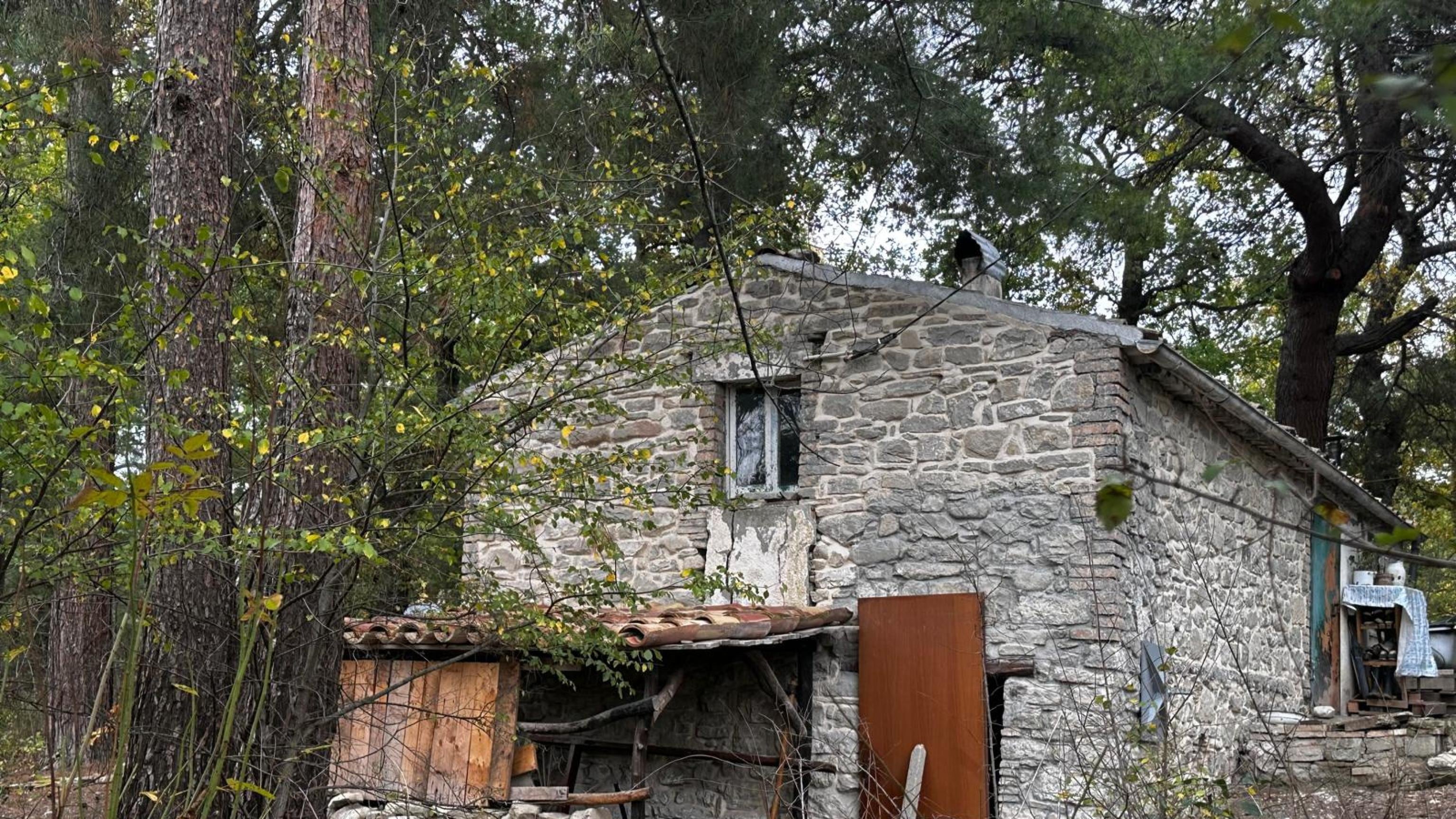 Passaggio al bosco