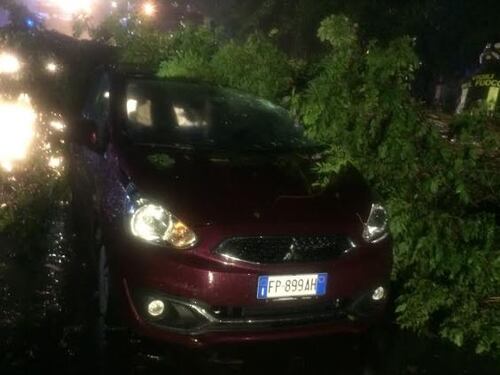 L'assessore di Roma: "Gli alberi caduti? Colpa dei cambiamenti climatici"