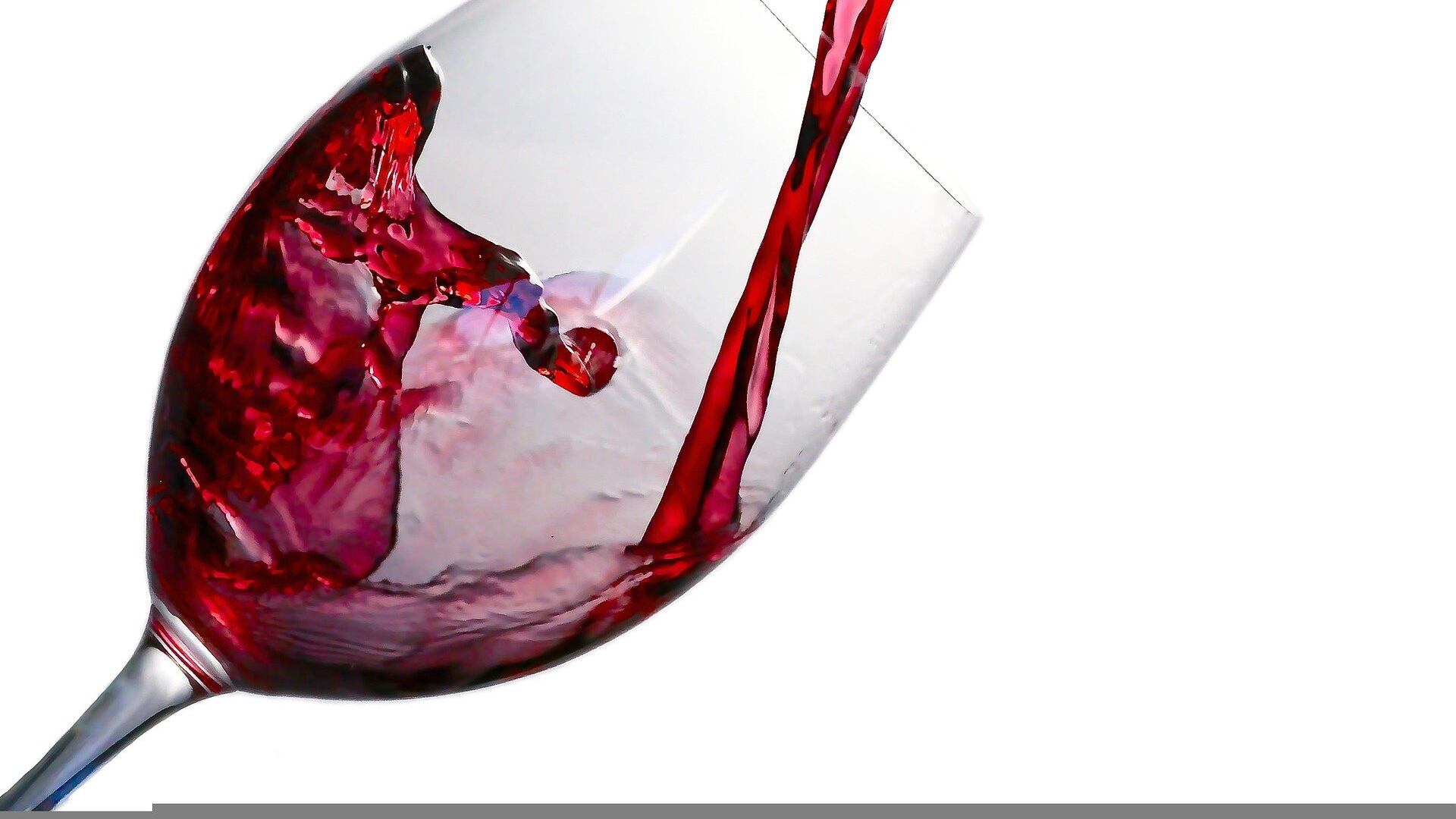 Vini delle Marche. Alla scoperta di 5 etichette