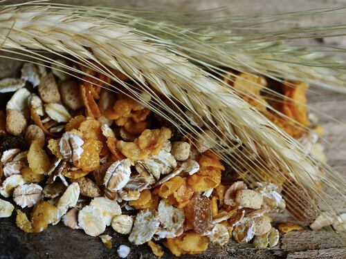 Cereali e fibre aiutano contro cancro, diabete e infarto