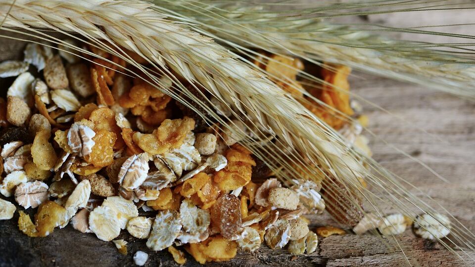 Cereali e fibre aiutano contro cancro, diabete e infarto
