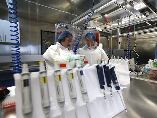 "Un insetto scappato dal laboratorio". Cosa c'è di vero nel report su Wuhan