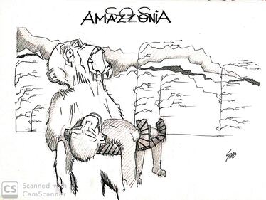 La vignetta del giorno: sos Amazzonia 1