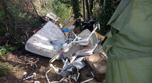 Roma, il degrado del parco naturale del Pineto 8