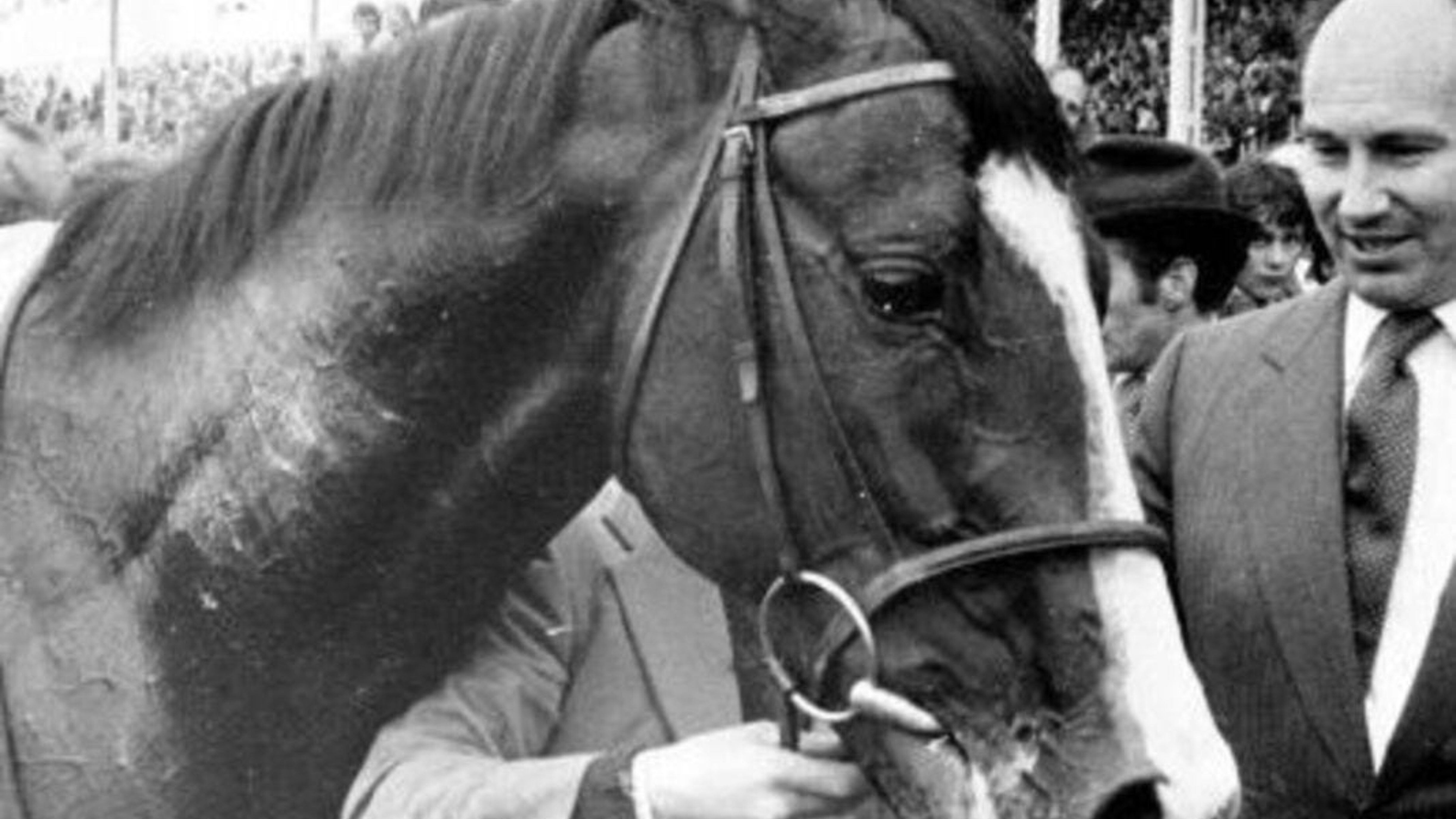 Le vittorie, il rapimento e l'IRA: la storia di Shergar, lo stallone dell'Aga Khan