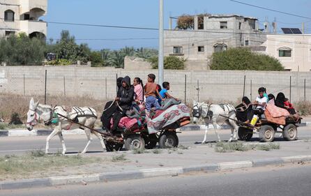 Fuga da Gaza, le immagini dell'evacuazione 10