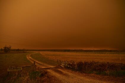 Australia, continuano gli incendi nella "terra dei canguri"  6