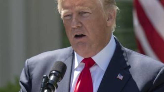 Muro, pugno duro di Trump: "Sarà emergenza nazionale"