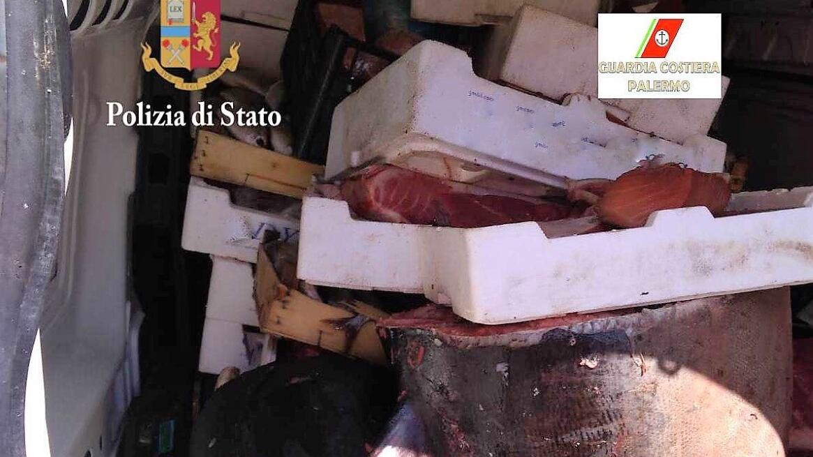 Giallo a Palermo. Ritrovati trenta tonni sul ciglio della strada: è il secondo episodio