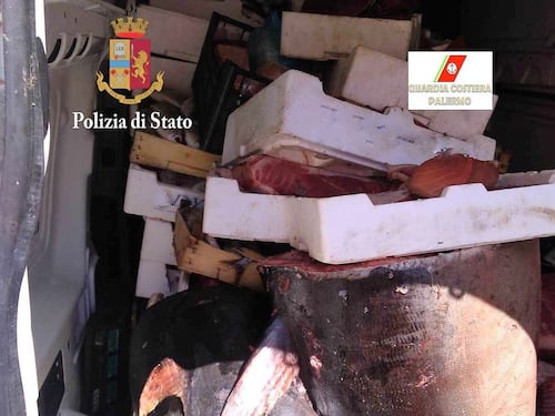 Giallo a Palermo. Ritrovati trenta tonni sul ciglio della strada