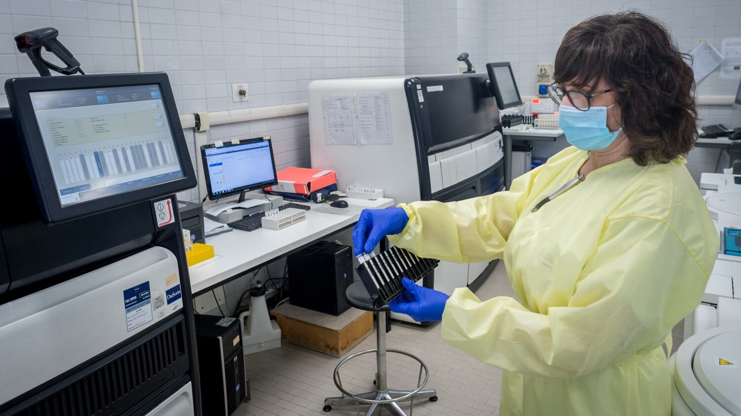 Quella faida tra scienziati sul virus: è indebolito ma è vietato dirlo