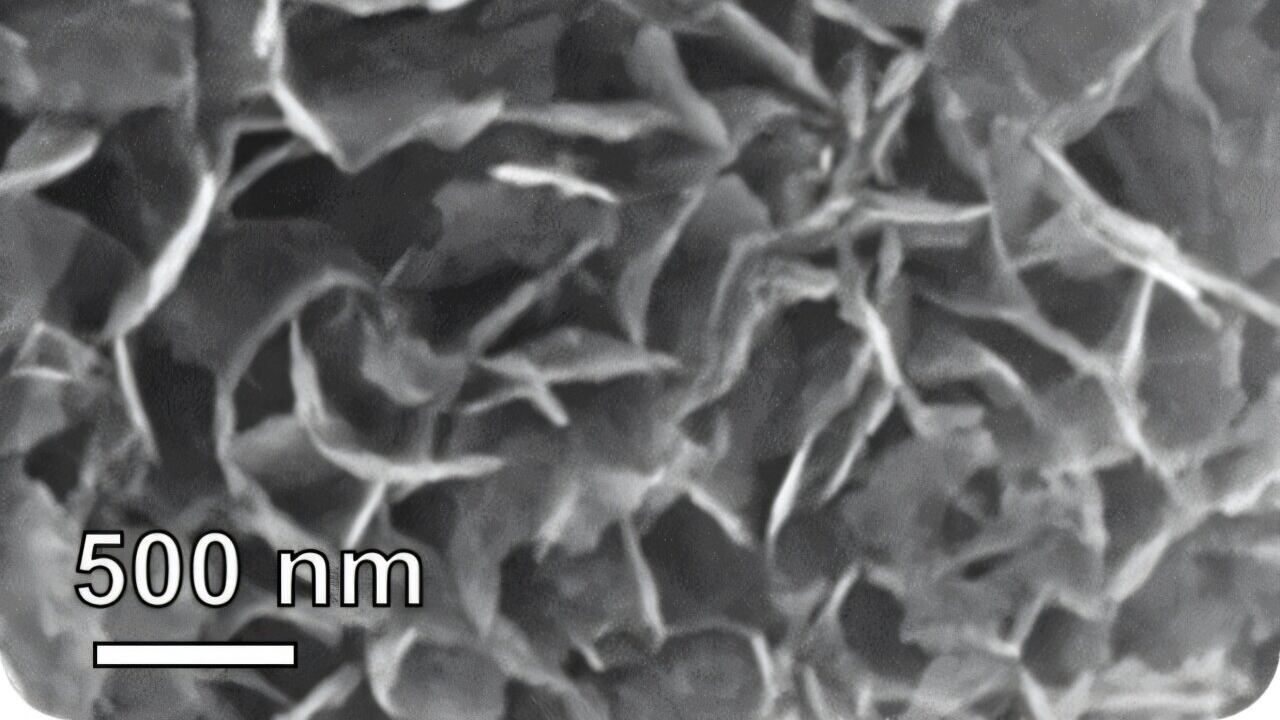 Tumore al polmone, scoperte "tracce" nel respiro: come riconoscerlo
