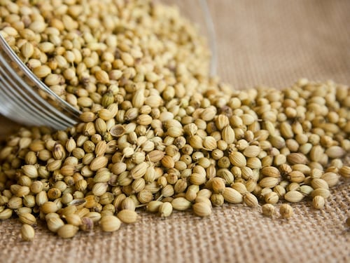 Coriandolo, virtù e benefici dell'erba aromatica
