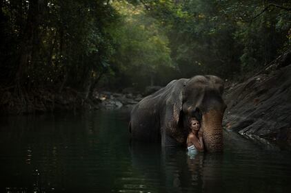 Katerina Plotnikova, modelle e animali posano insieme 11