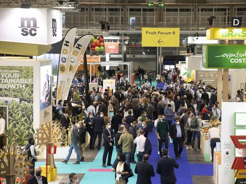 Fiera Milano e Ifema Madrid, allenza per lanciare Fruit Attraction in Brasile