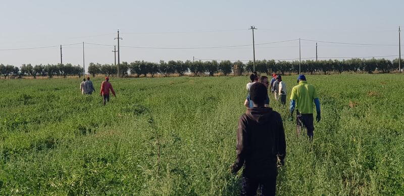 Puglia, le vite dei braccianti nelle mani dei caporali 10