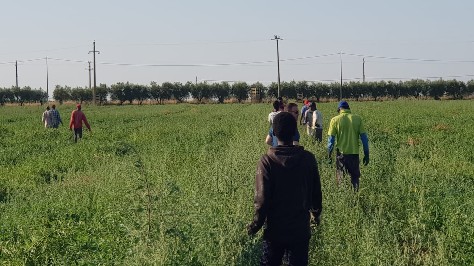 Puglia, le vite dei braccianti nelle mani dei caporali 10