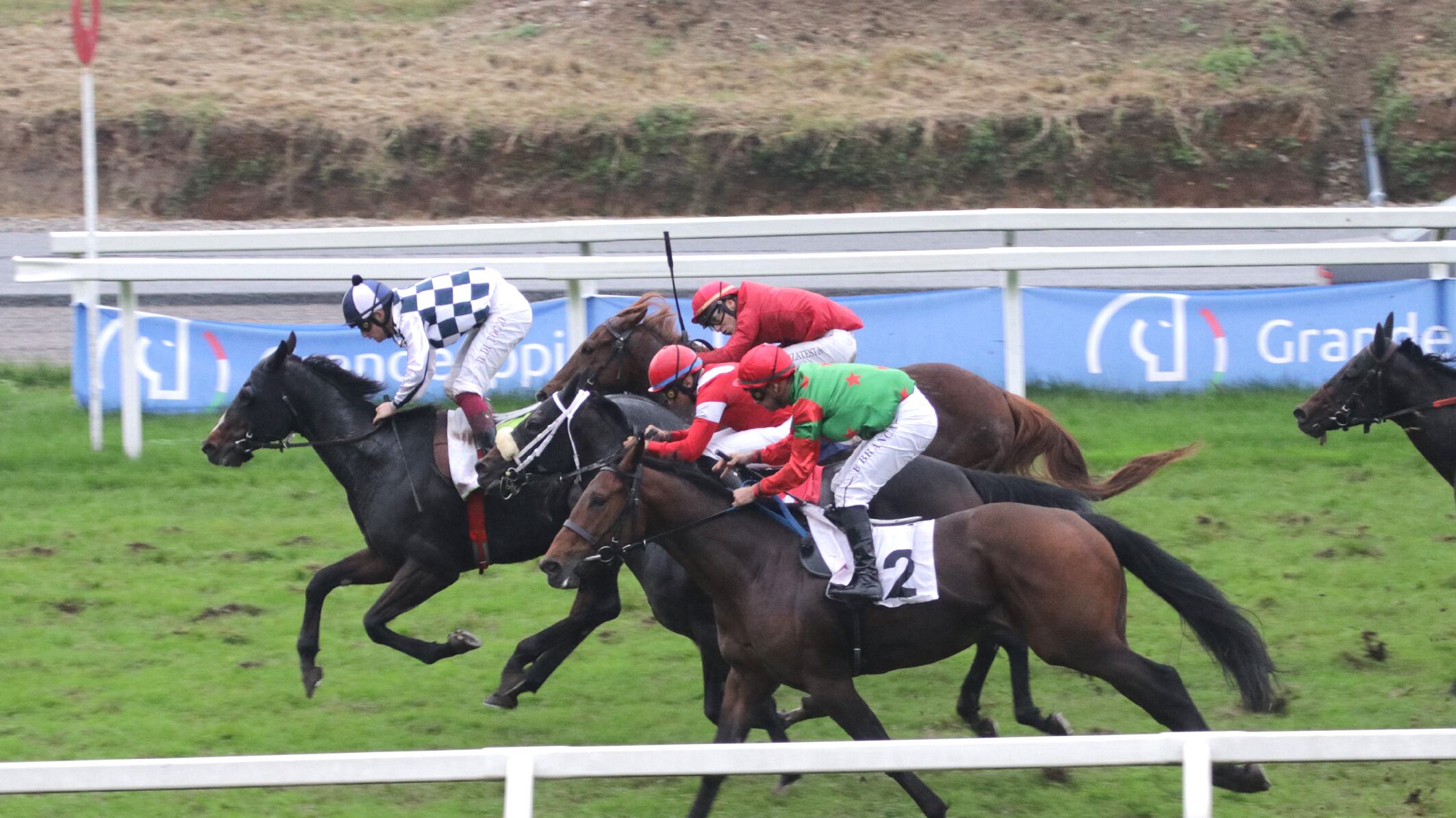 Champion Day 2024, il galoppo italiano è al centro