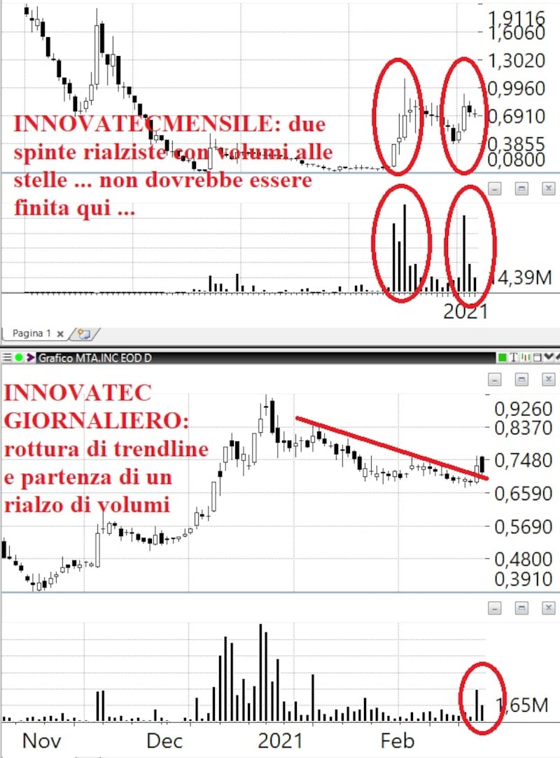 Tomasini 4