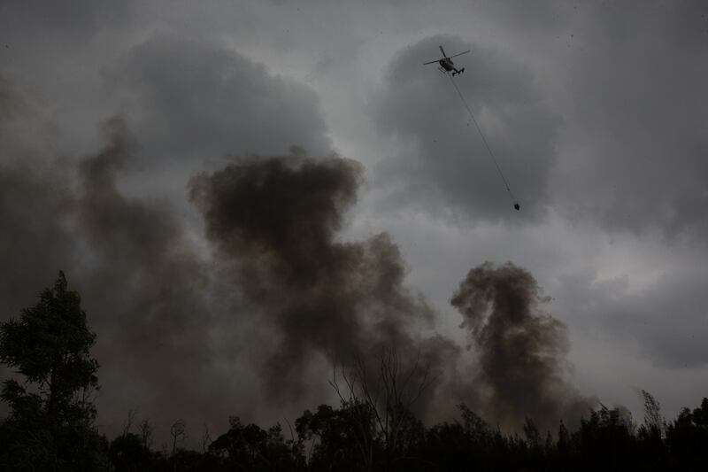 Incendi in Australia, le immagini della devastazione 1