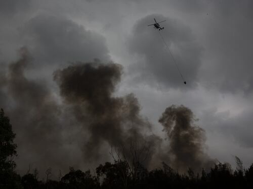 Incendi in Australia, le immagini della devastazione
