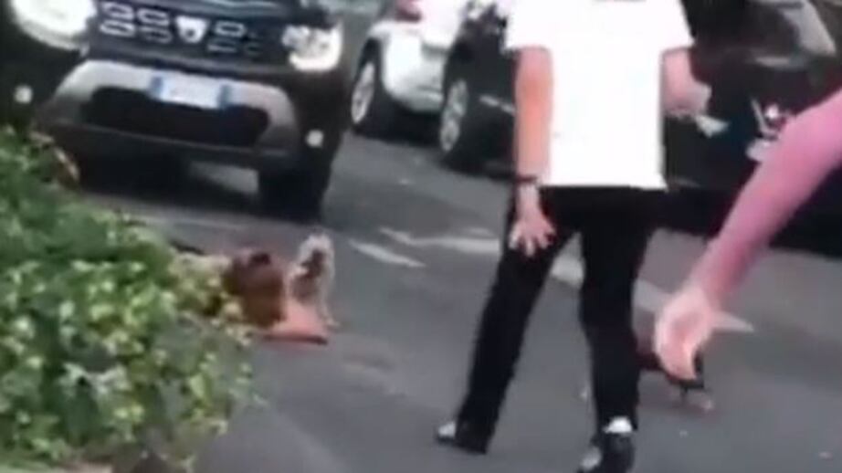 "Quella bestia era sopra di me". Il racconto choc della donna aggredita dal cinghiale