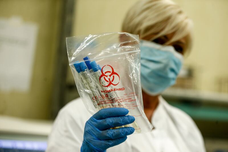 "Basta esperti fasulli: il rischio c'è sempre ma il virus è innocuo"