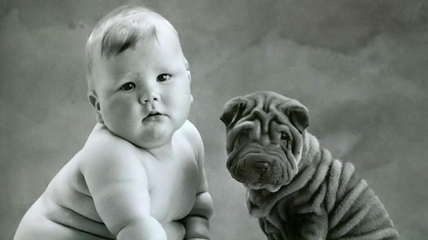 Vuoi un cane grosso? Allora devi essere grasso
