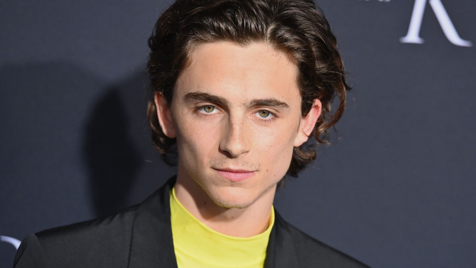 Batman: Timothée Chalamet si candida per Robin