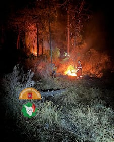 Incendio di Prato, vigili del fuoco e squadre antincendio all'opera 5