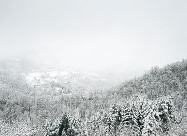 "Il mare di nebbia", la mostra fotografica di Axel Hutte 7