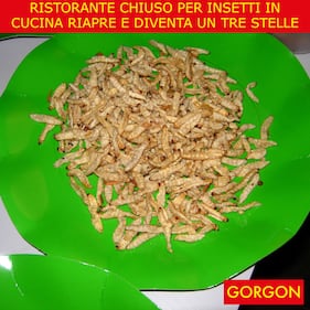 La satira del giorno. Apre ristorante stellato 1