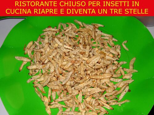 La satira del giorno. Apre ristorante stellato