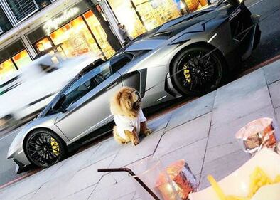 Rich Kids of England, le immagini 4