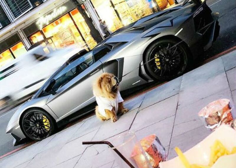 Rich Kids of England, le immagini 4
