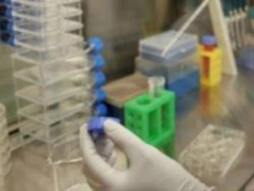 Business Dna, aumenta l'uso dei test fai da te