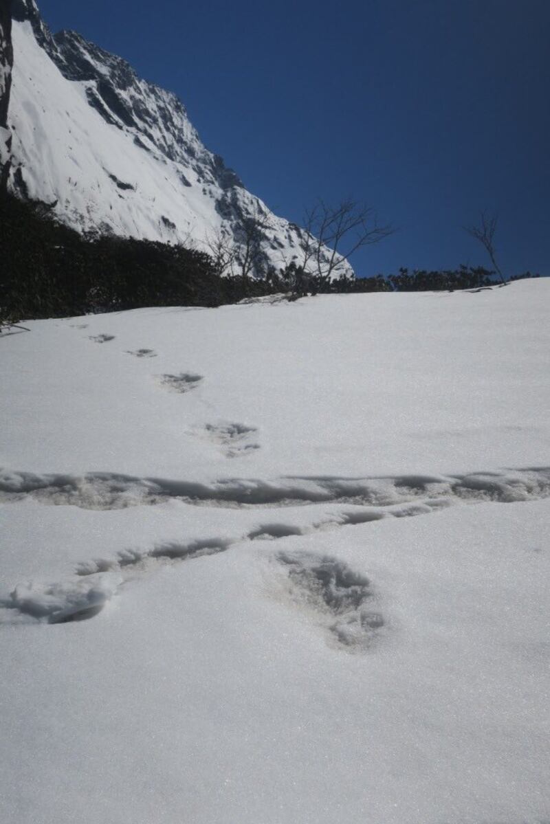 Le orme dello Yeti 2