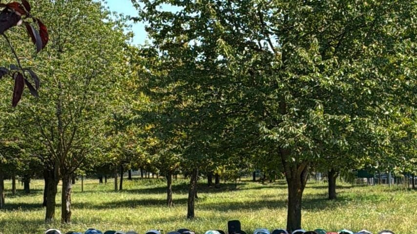 A Milano il parco come una moschea per la preghiera del venerdì: “Beppe Sala lo consente”