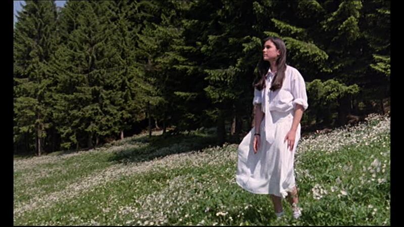 Il cinema di Dario Argento 4
