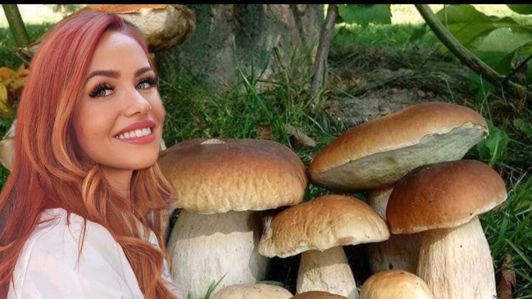 I funghi, tesoro e mistero della nostra cucina