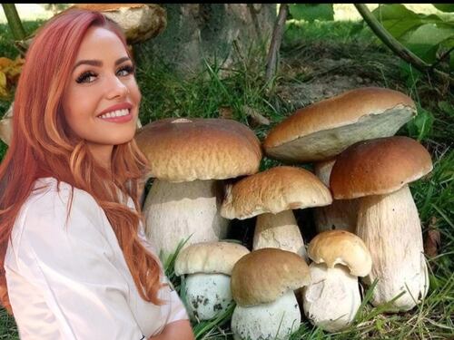 I funghi, tesoro e mistero della nostra cucina