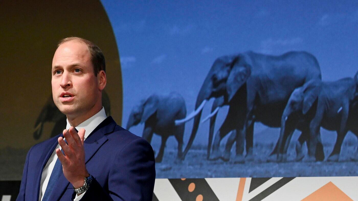 "William è un principe razzista": scoppia il caos a corte