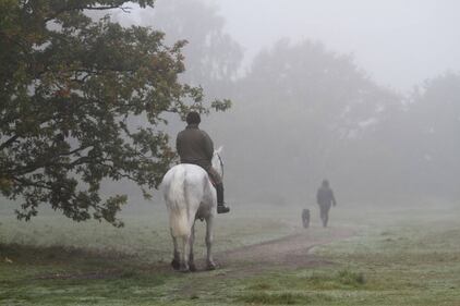 Londra torna vittoriana con la nebbia 2