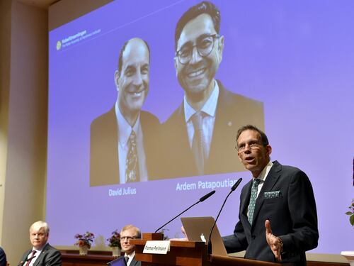 Stoccolma evita il Covid. Il Nobel agli scienziati che "esplorano" il tatto